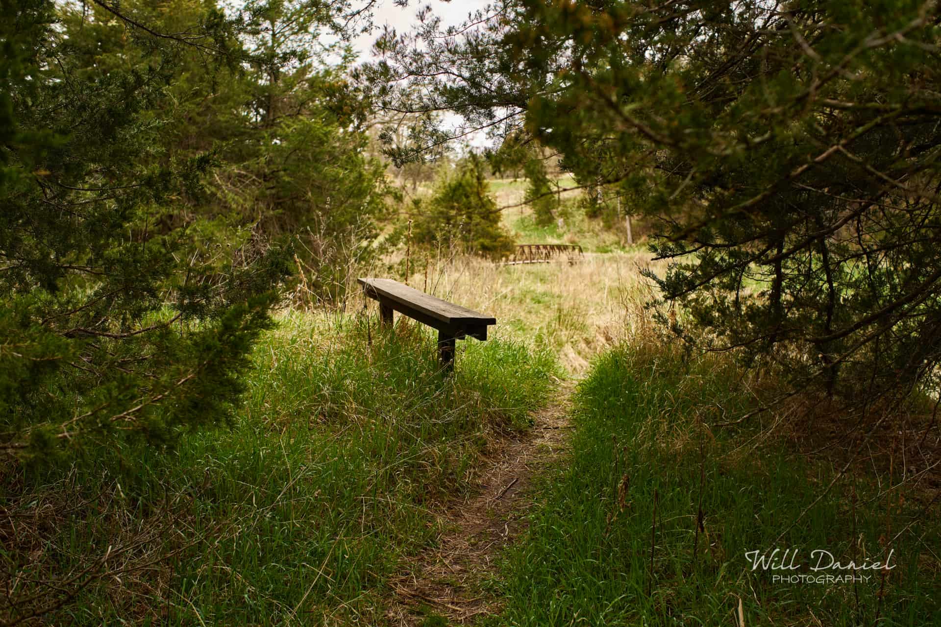 Long Pine State Recreation Area 58494