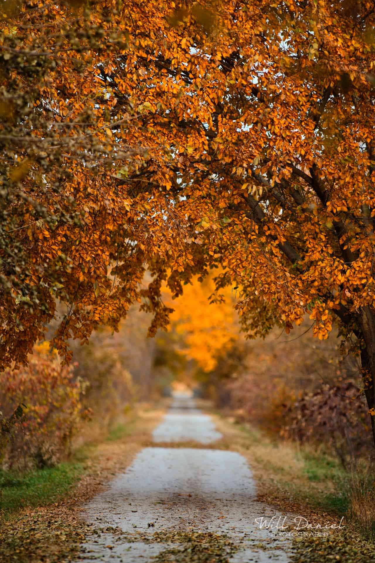 Oak Creek Trail 56594