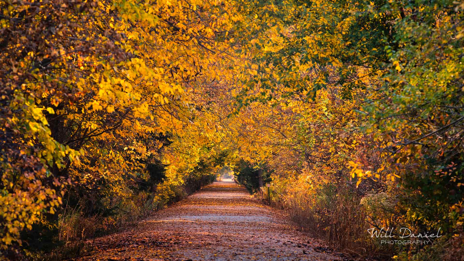 Nebraska Trail Photos