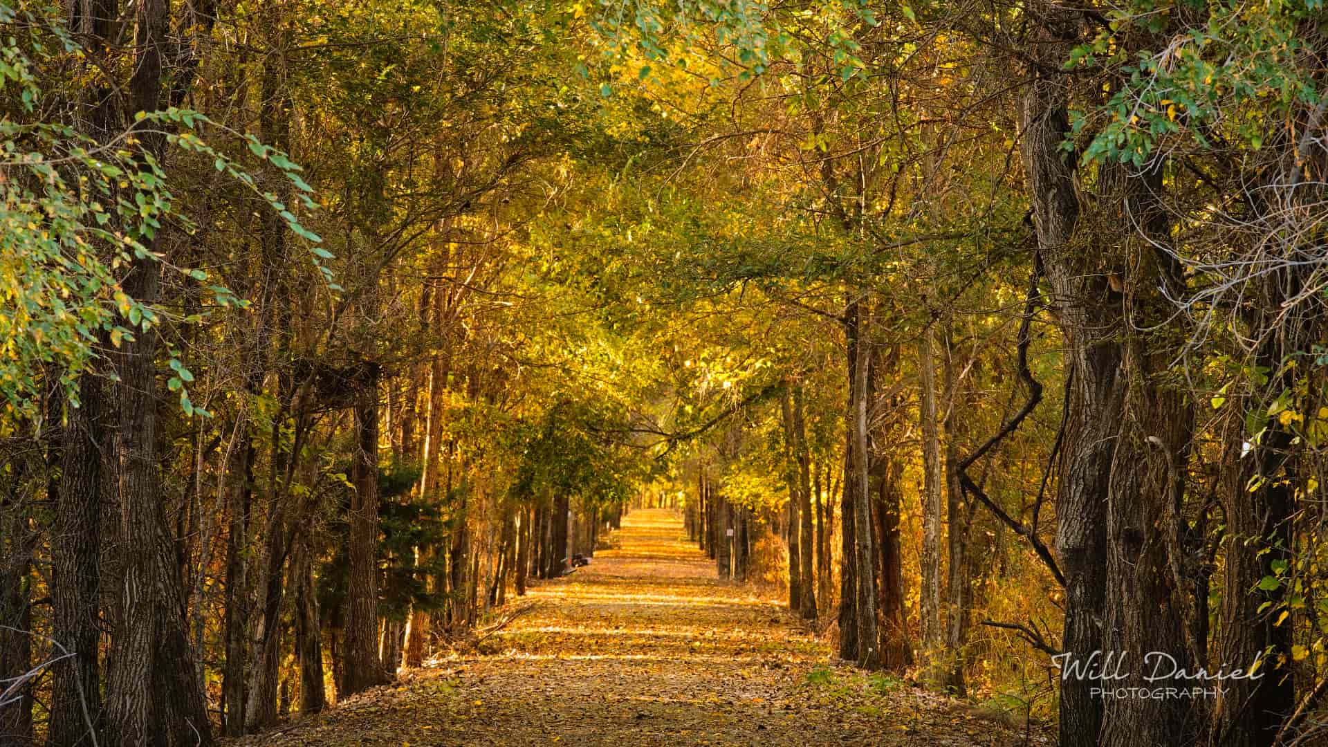 Nebraska Trail Photos