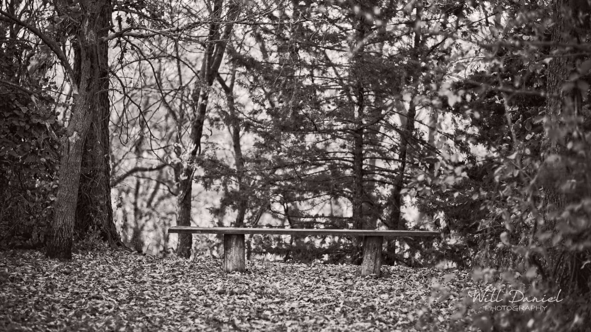 Nebraska Trail Photos