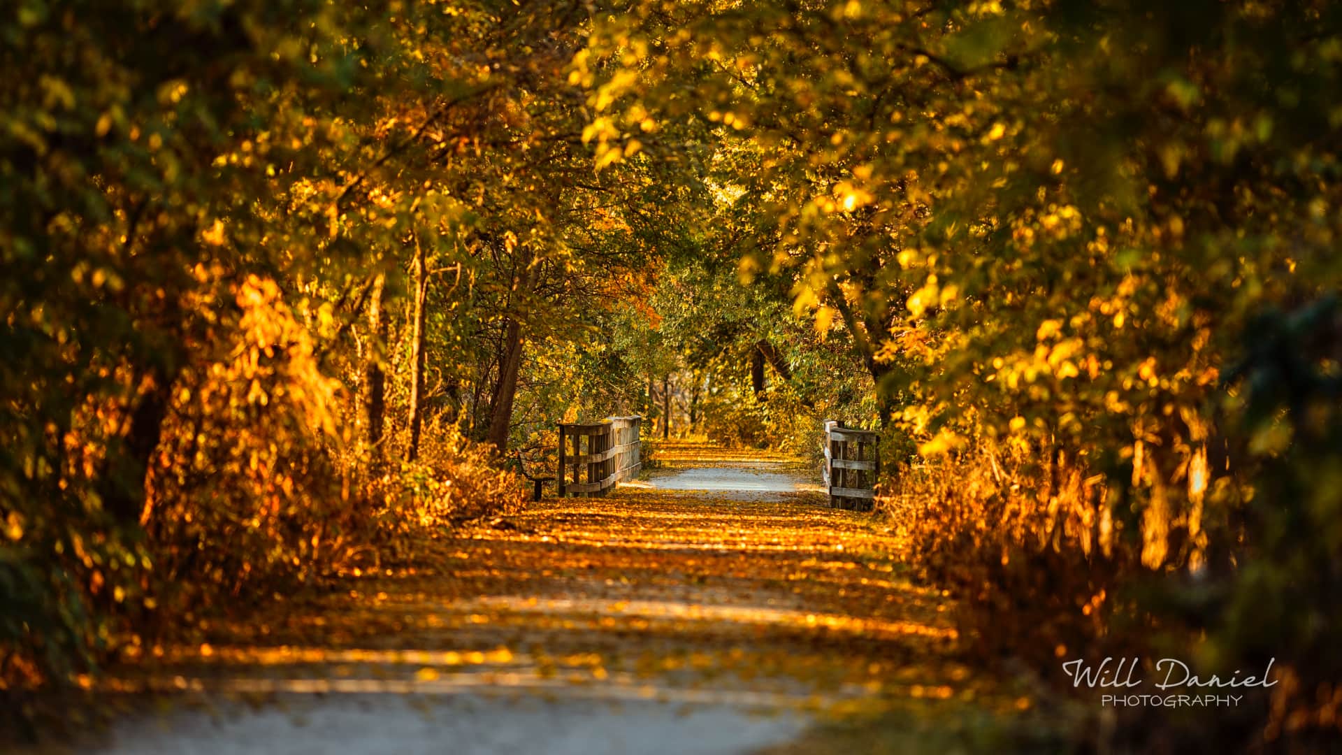 Nebraska Trail Photos