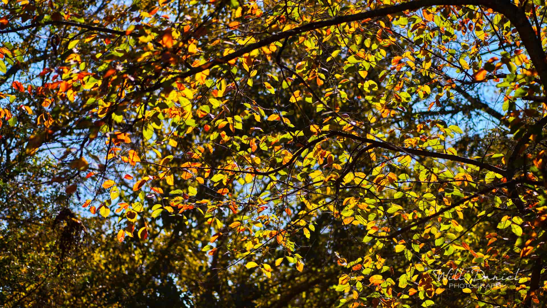 Nebraska Trail Photos