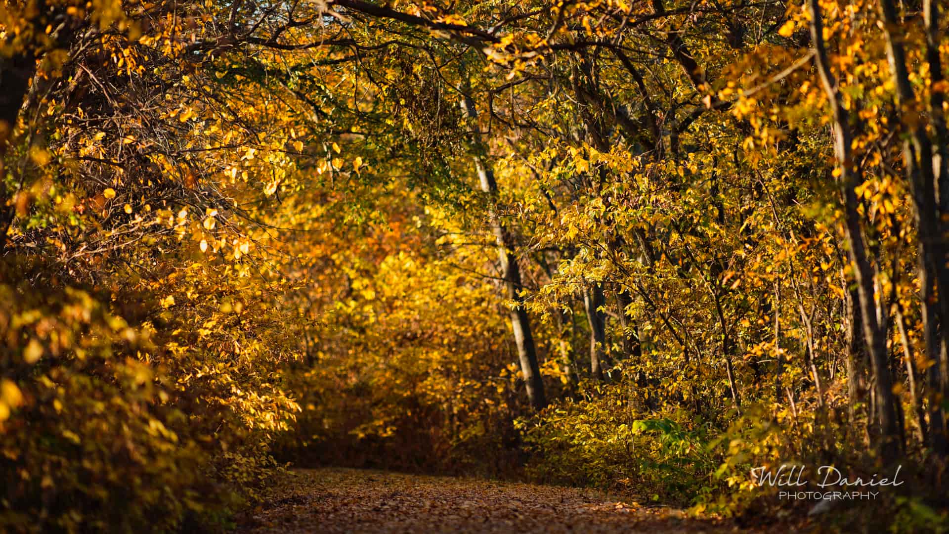 Nebraska Trail Photos