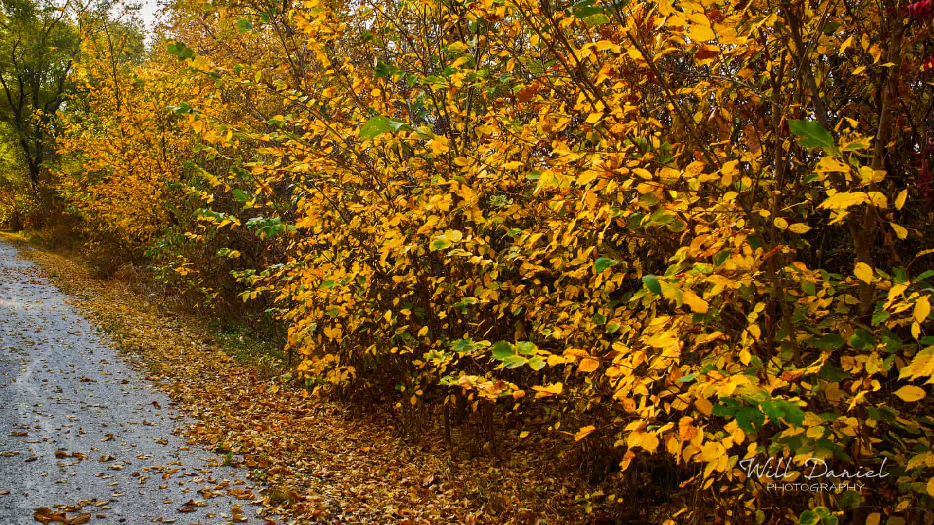 Nebraska Trail Photos