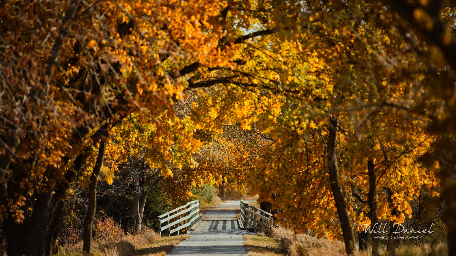 Nebraska Trail Photos