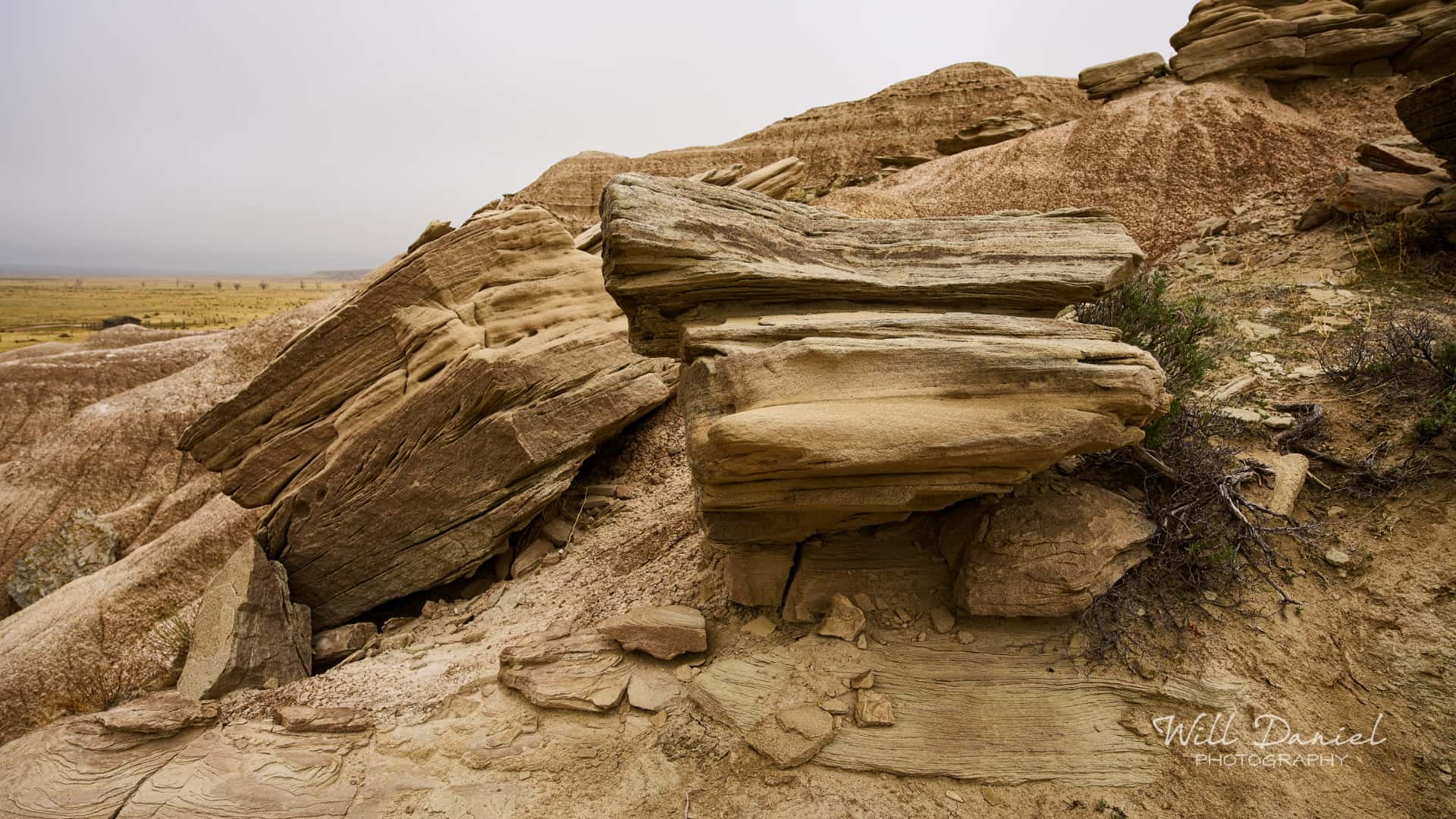 Nebraska Trail Photos