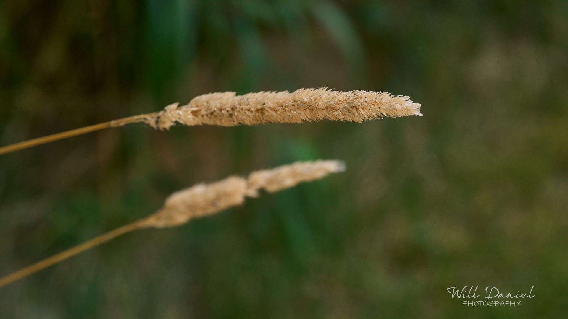 Nebraska Trail Photos