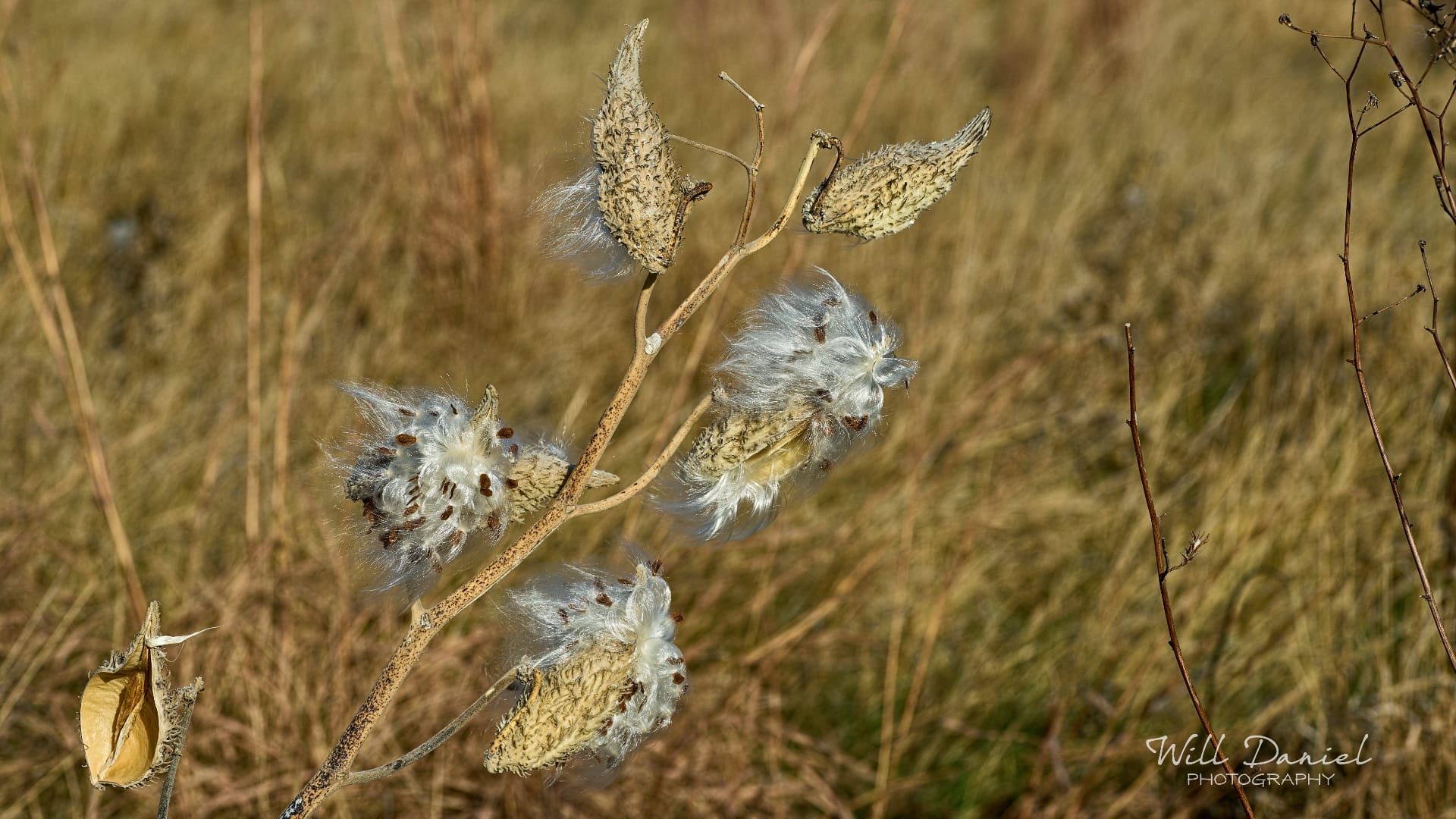 Nebraska Trail Photos
