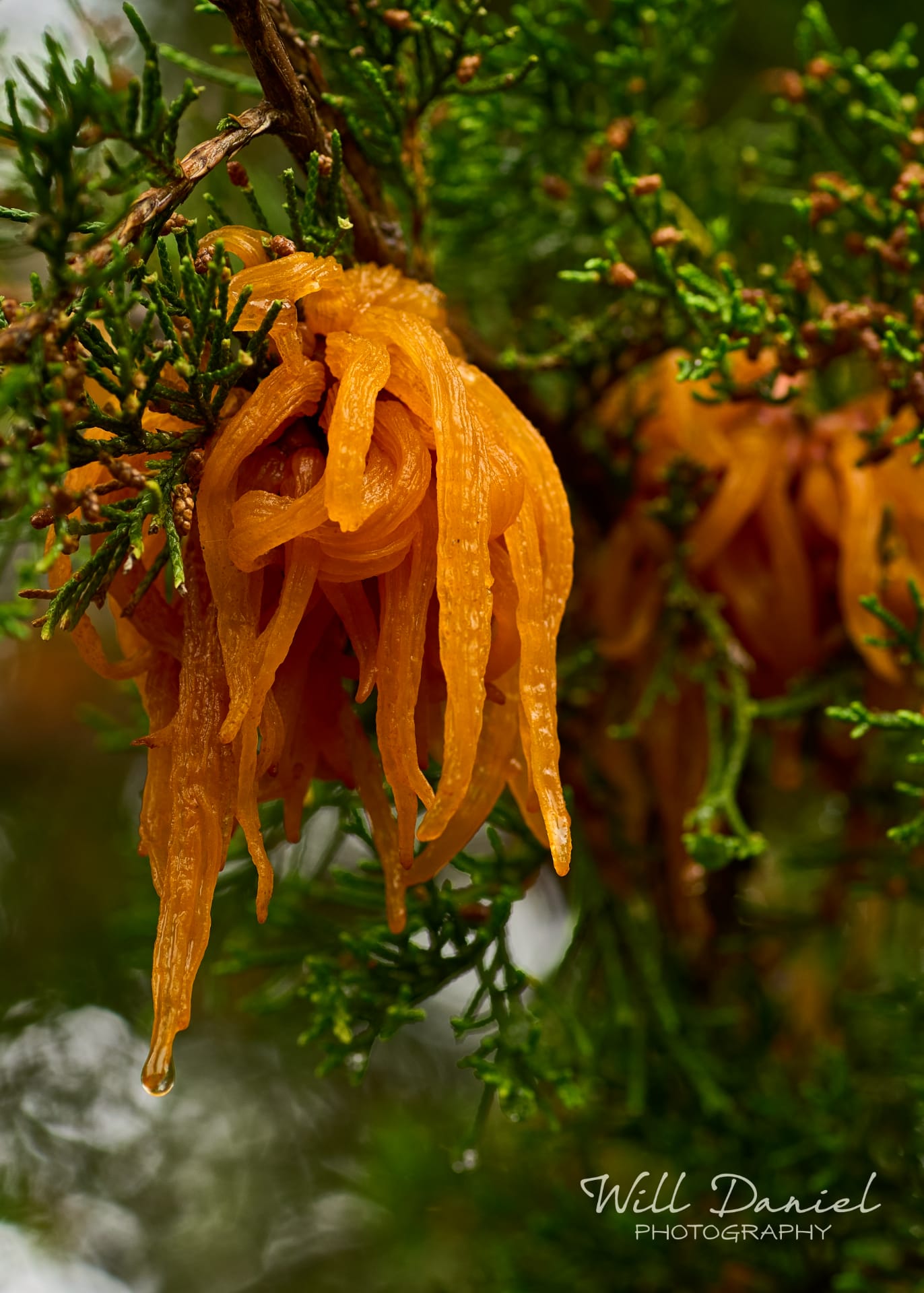 Nebraska Passing By Photos