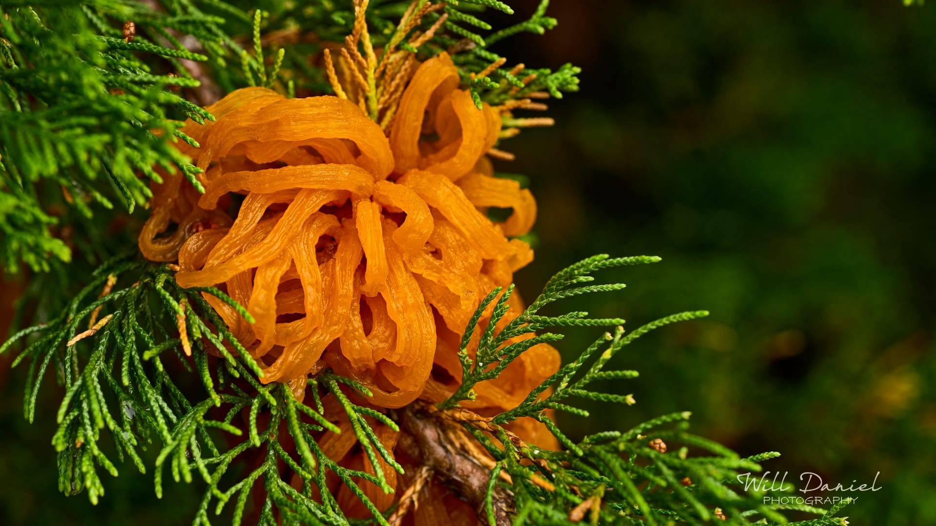 Nebraska Passing By Photos