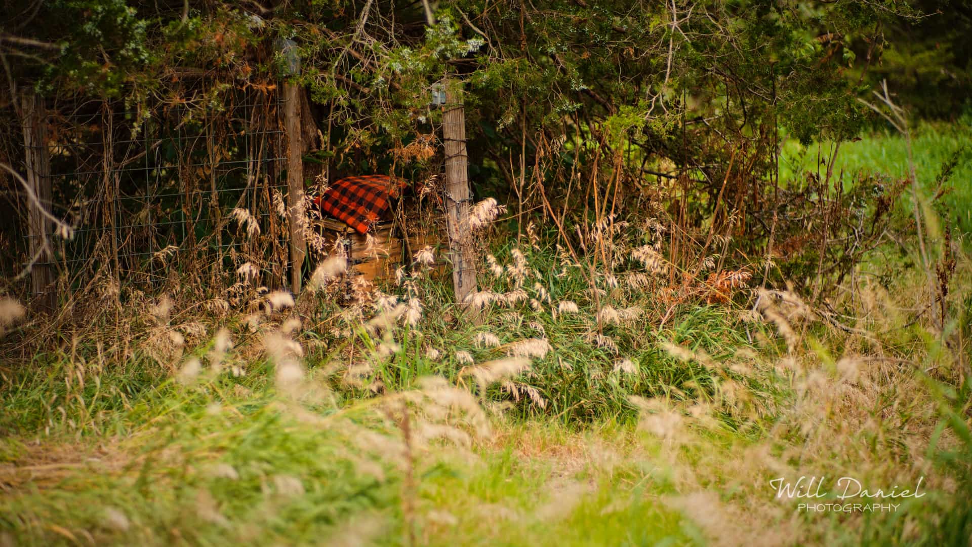 Nebraska Passing By Photos