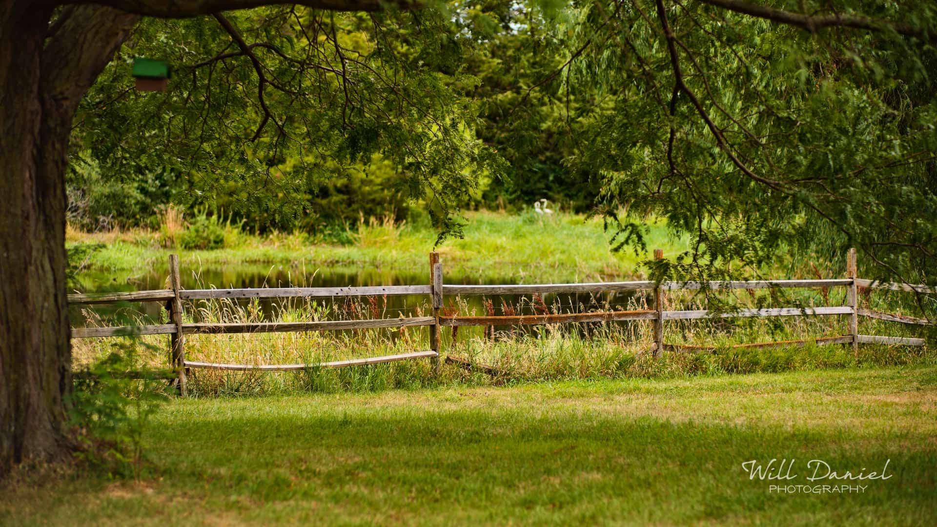 Nebraska Passing By Photos