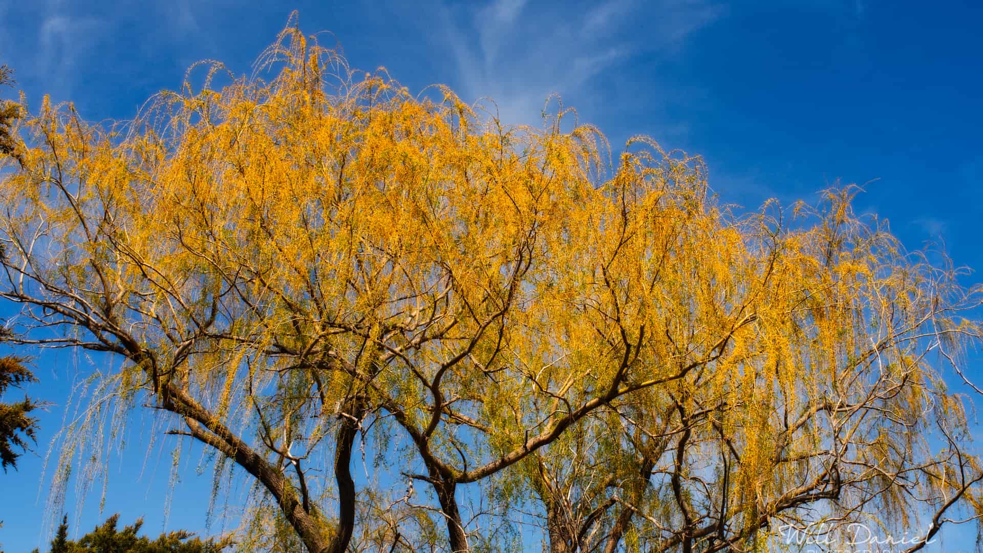 Nebraska Passing By Photos