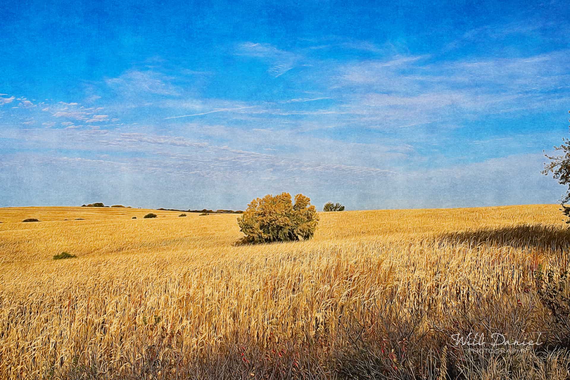 Oak Creek Trail 56699_I2