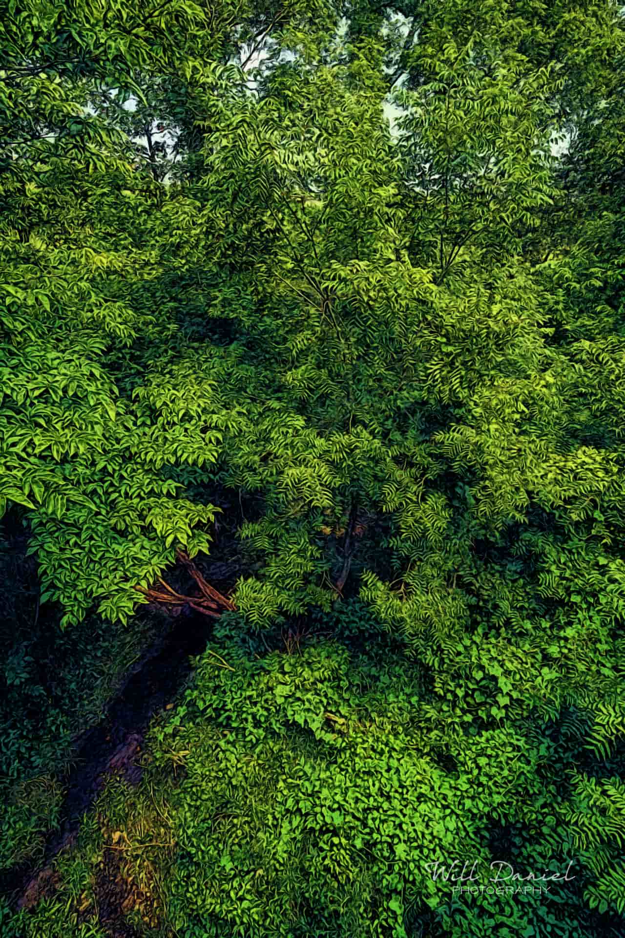 Oak Creek Trail 58857 ID fulton