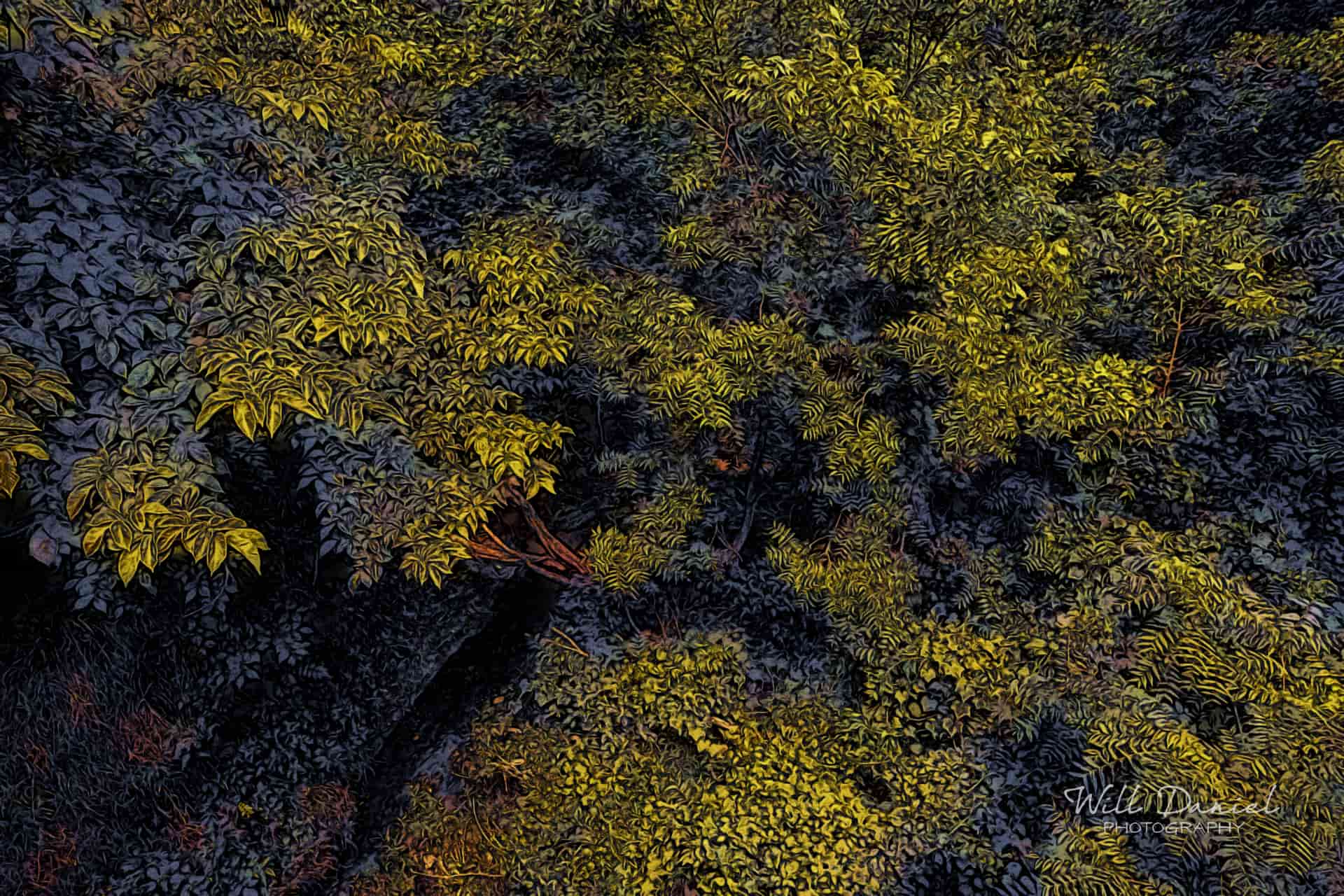 Oak Creek Trail 58861 ID celestial