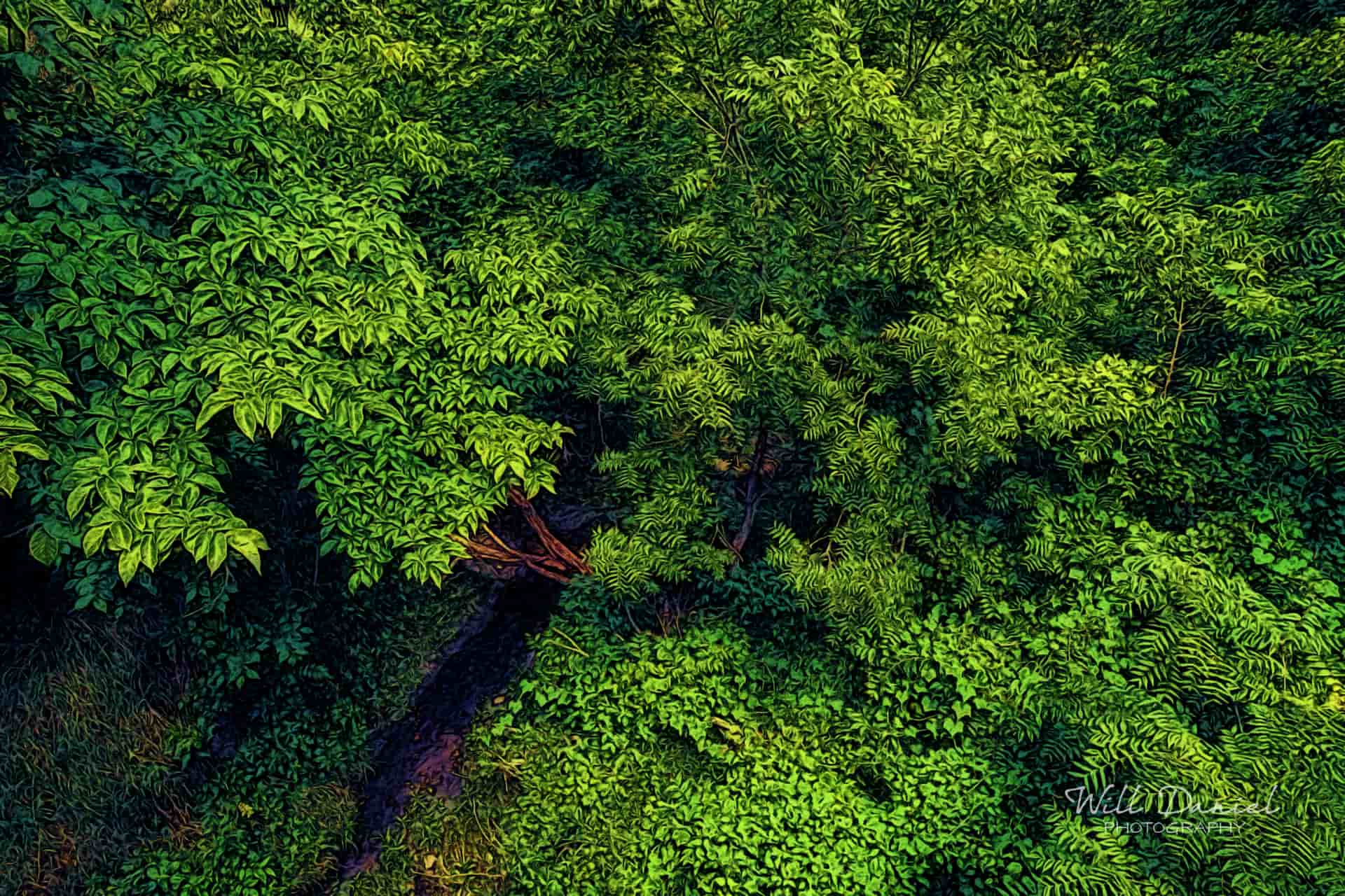 Oak Creek Trail 58861 ID fulton