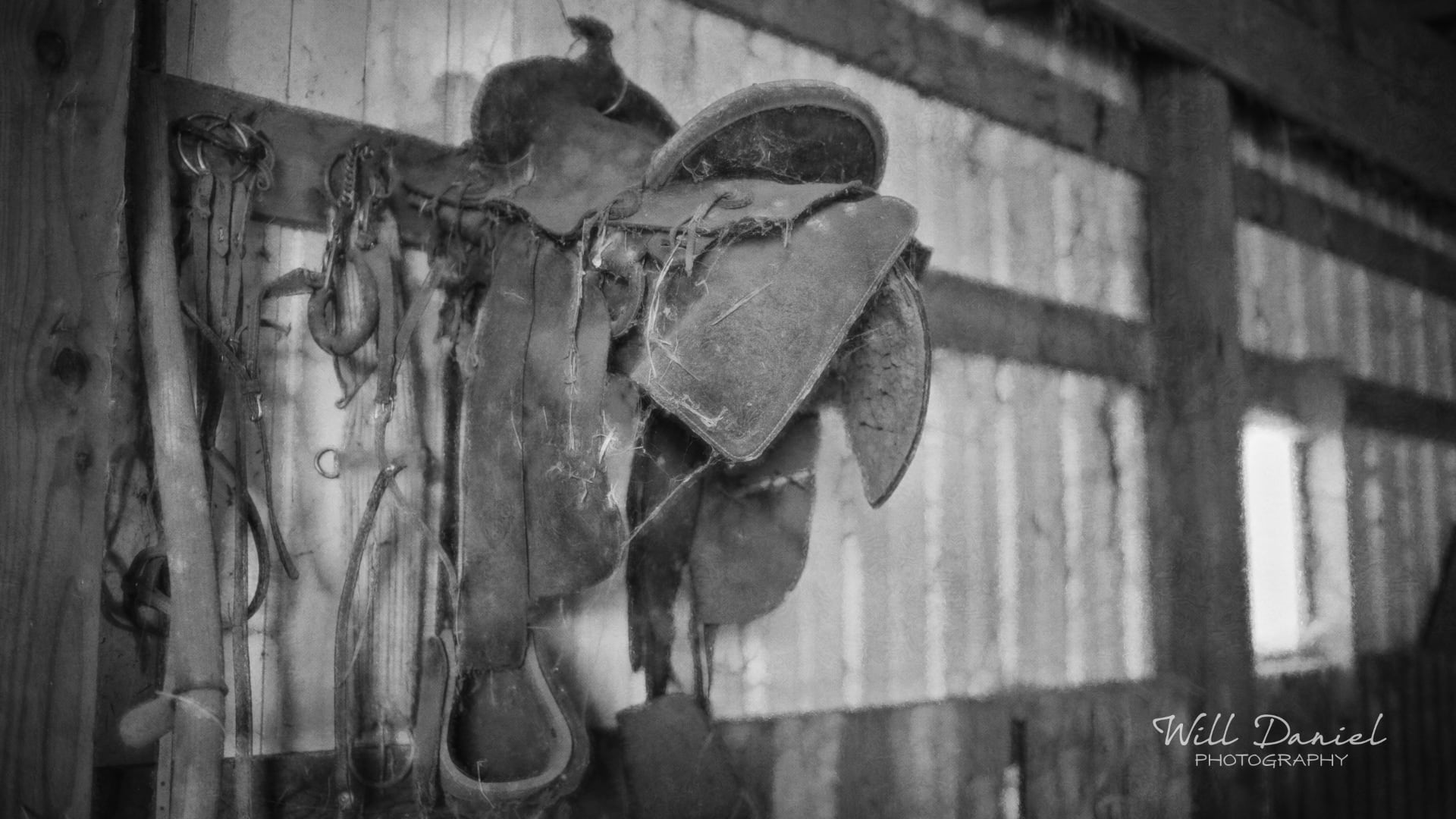 Nebraska Remix Photos