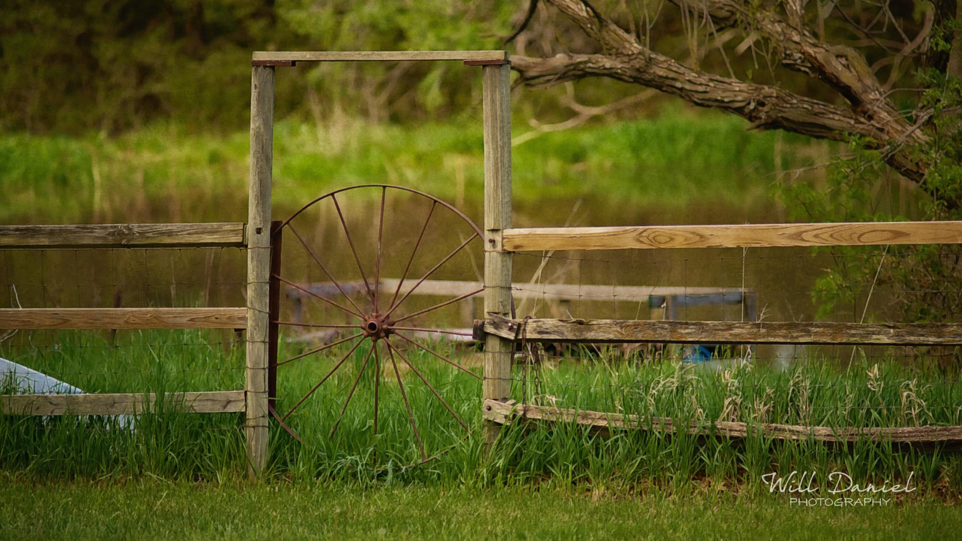 Nebraska Remix Photos
