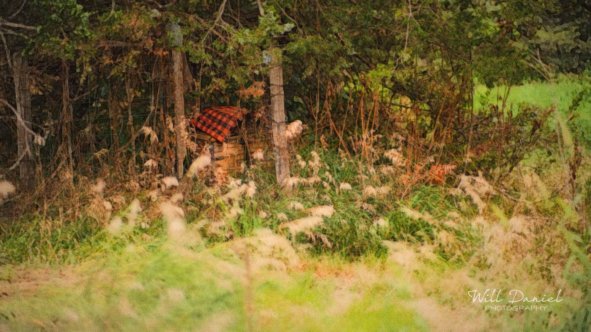 Nebraska Remix Photos