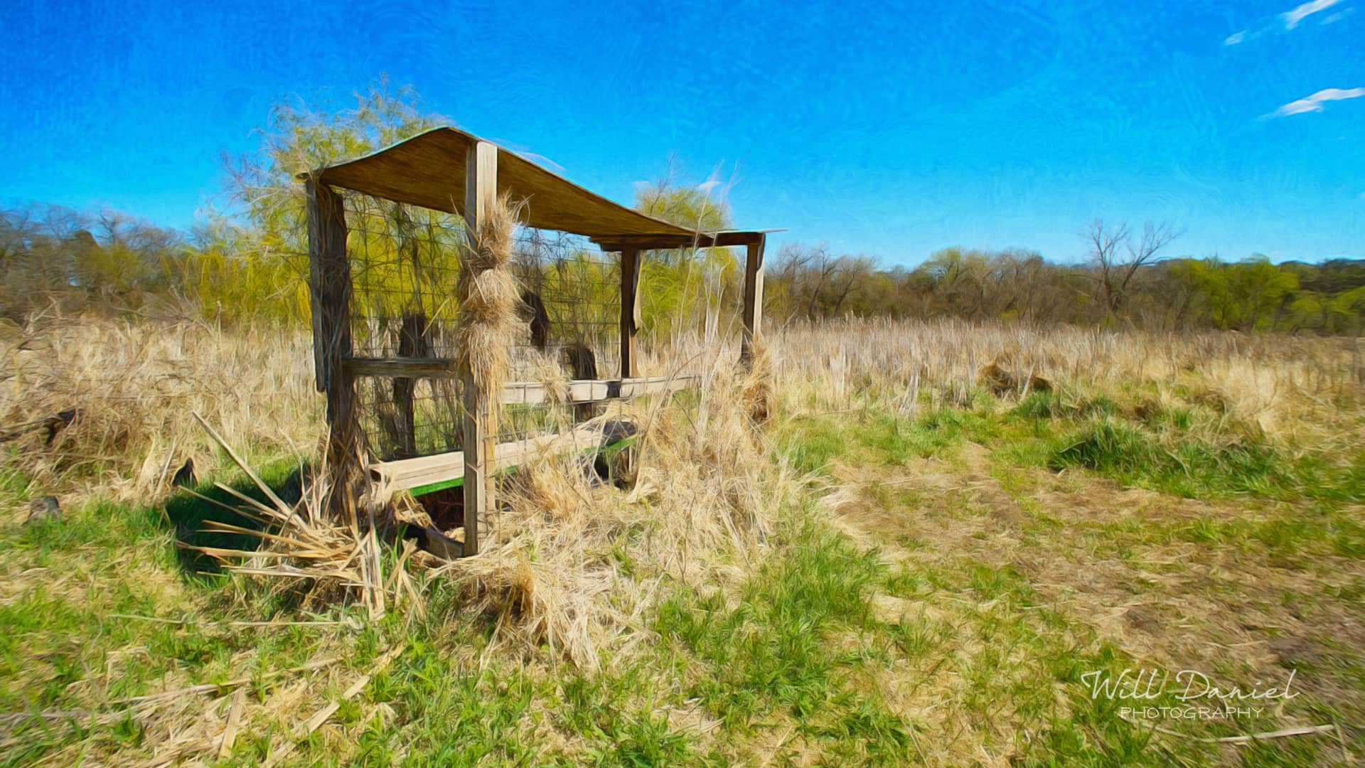 Nebraska Remix Photos