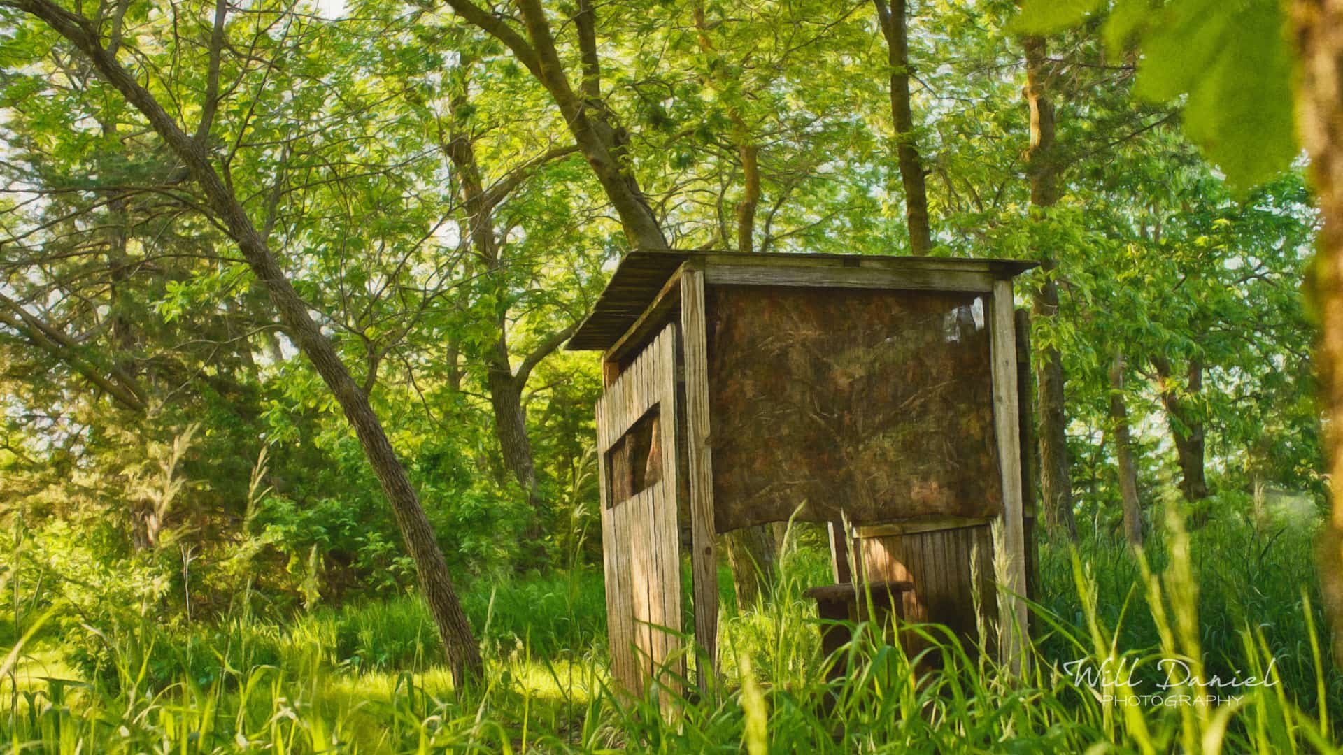 Nebraska Remix Photos