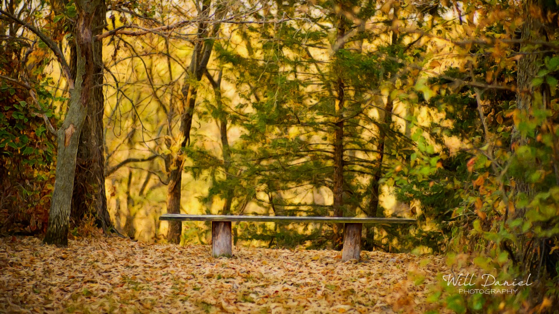 Nebraska Remix Photos