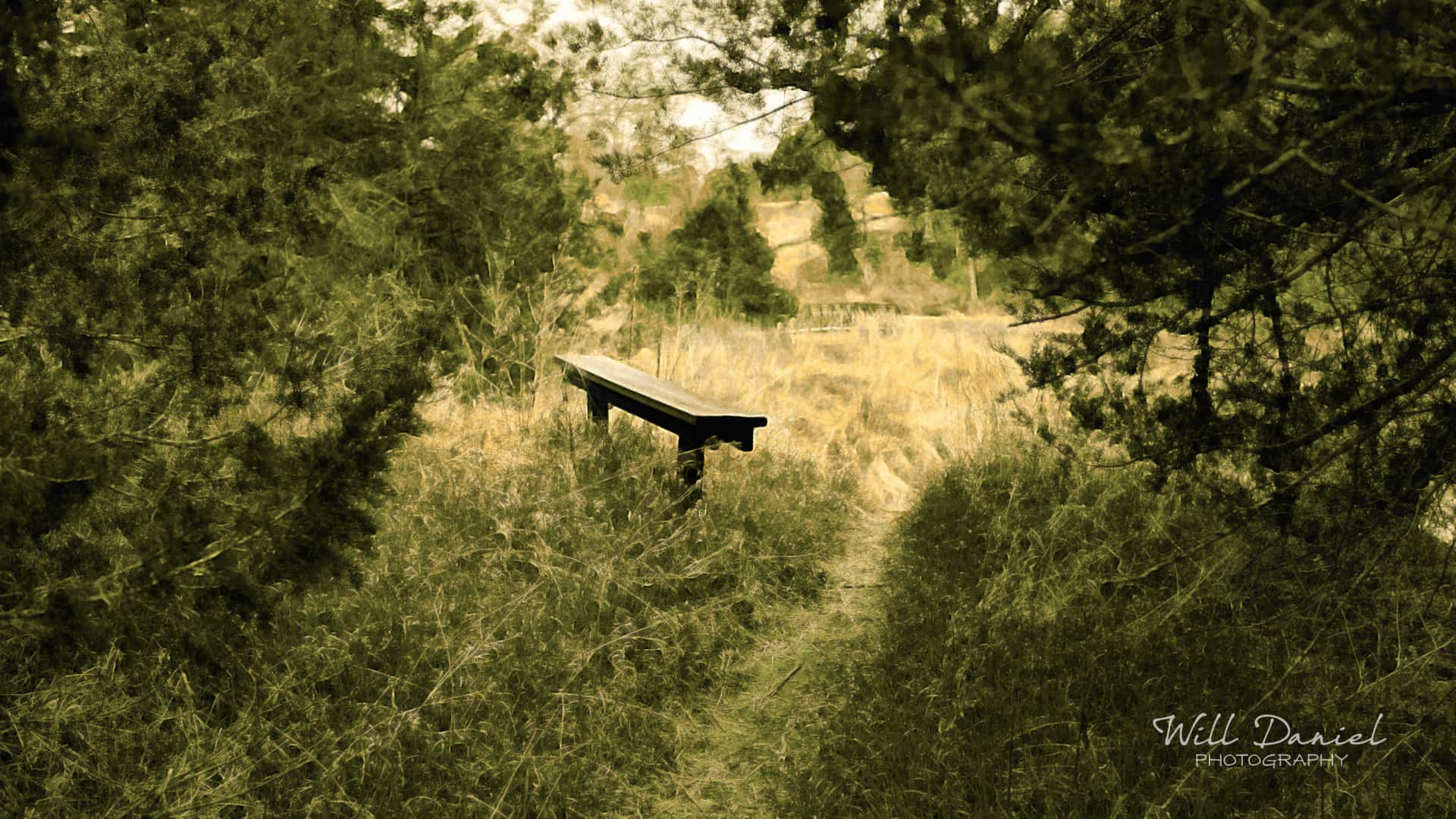 Nebraska Remix Photos