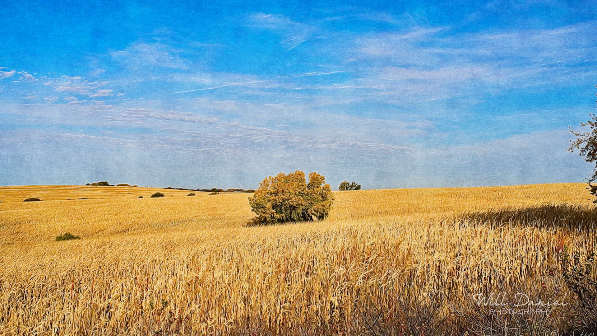 Nebraska Remix Photos