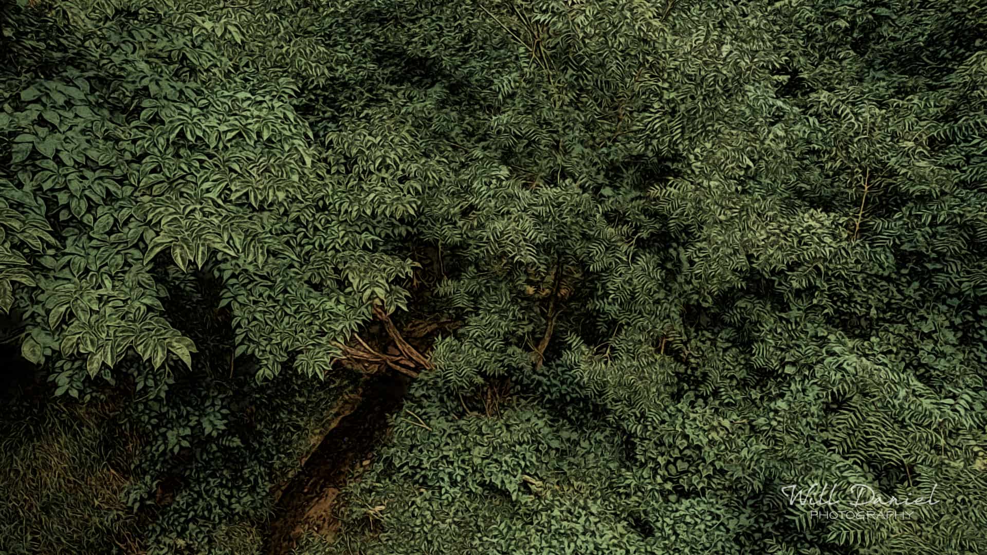 Nebraska Remix Photos