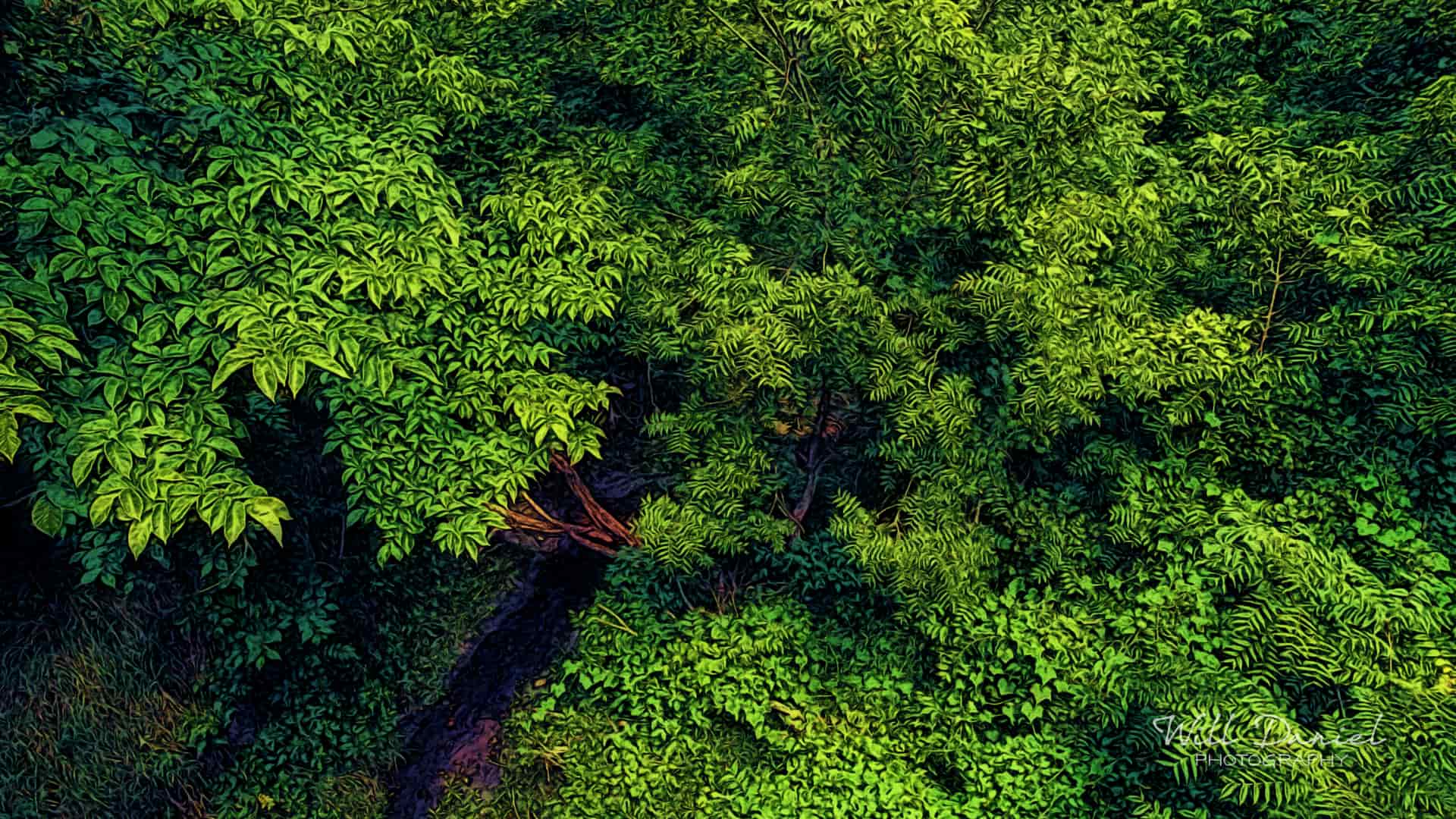 Nebraska Remix Photos