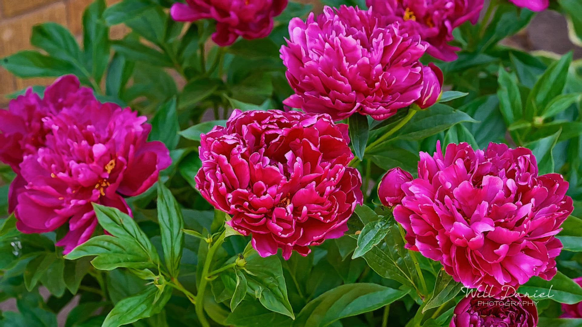 Nebraska Remix Photos