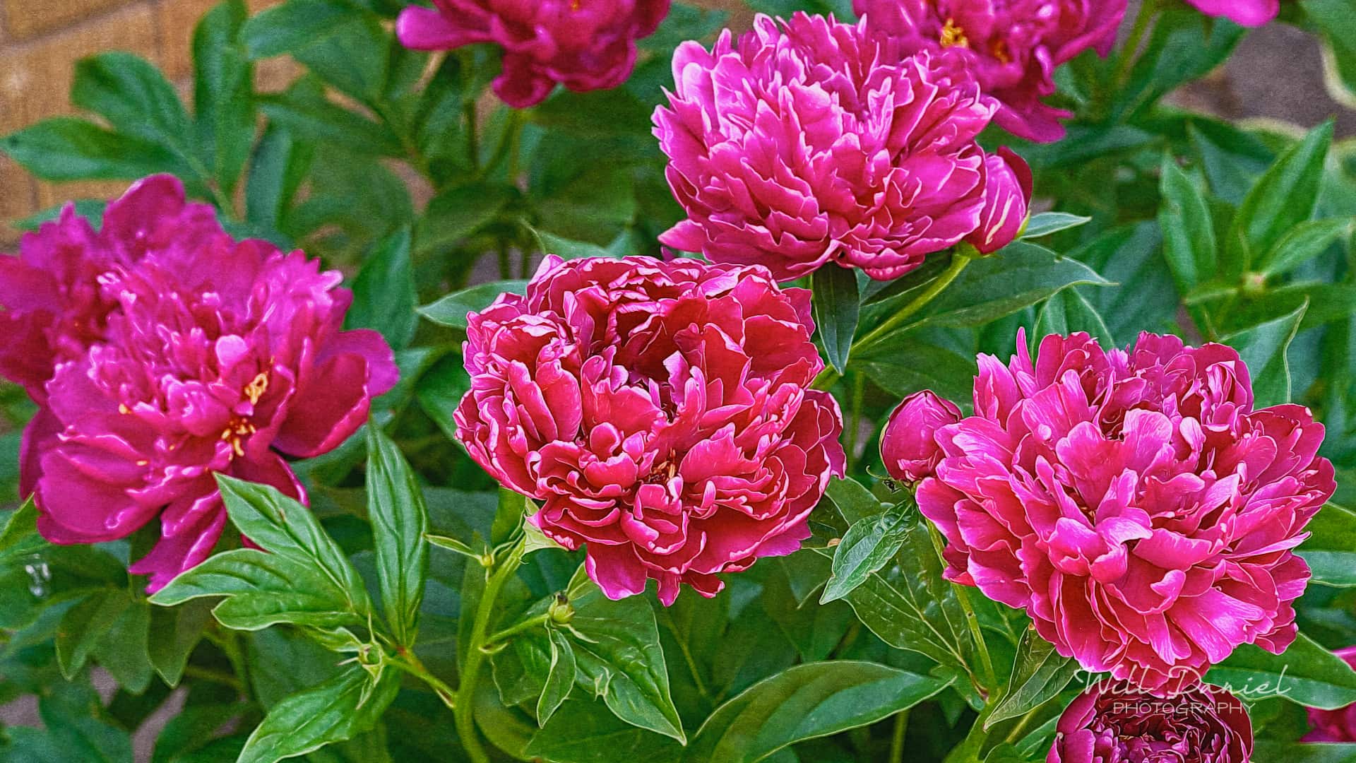 Nebraska Remix Photos