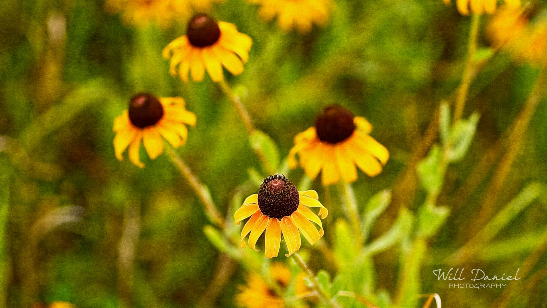 Nebraska Remix Photos