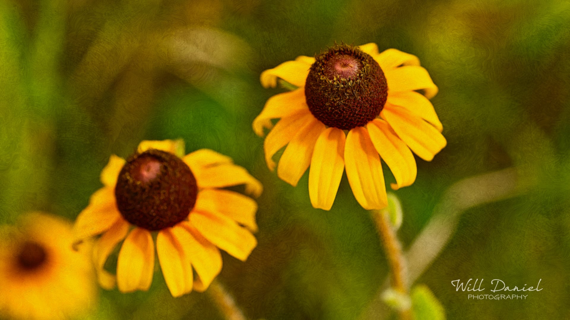 Nebraska Remix Photos