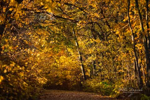 MoPacEastTR_WR56903_PS