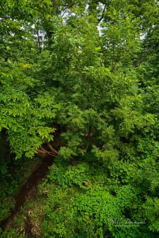 Oak Creek Trail 58857