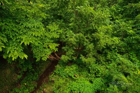 Oak Creek Trail 58861