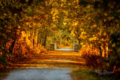 MoPacEastTR_WR56034_PS_BSS1
