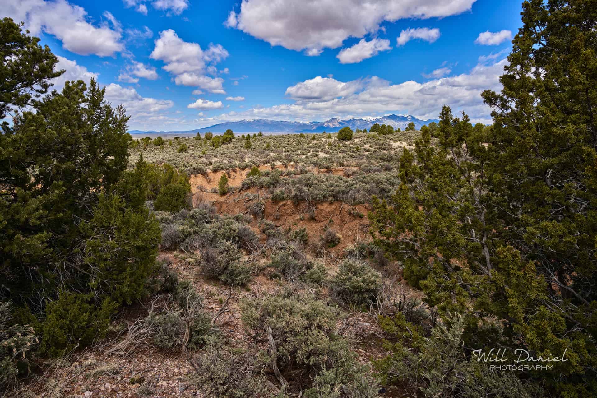 Taos Valley Overlook Trails 502874