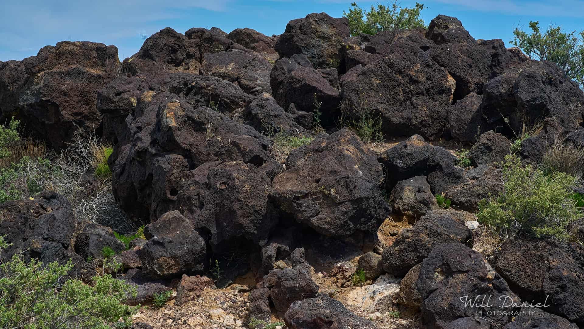 New Mexico Trail Photos