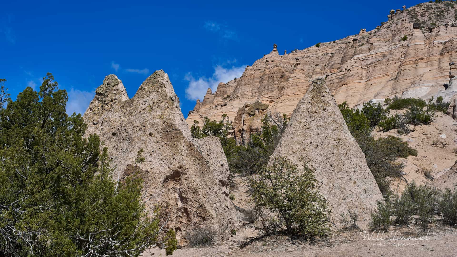 New Mexico Trail Photos