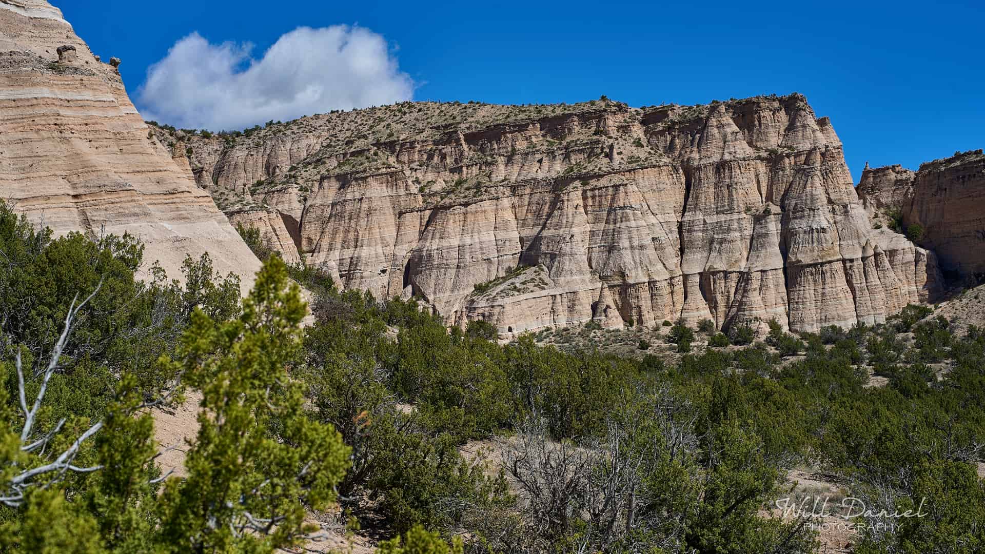 New Mexico Trail Photos