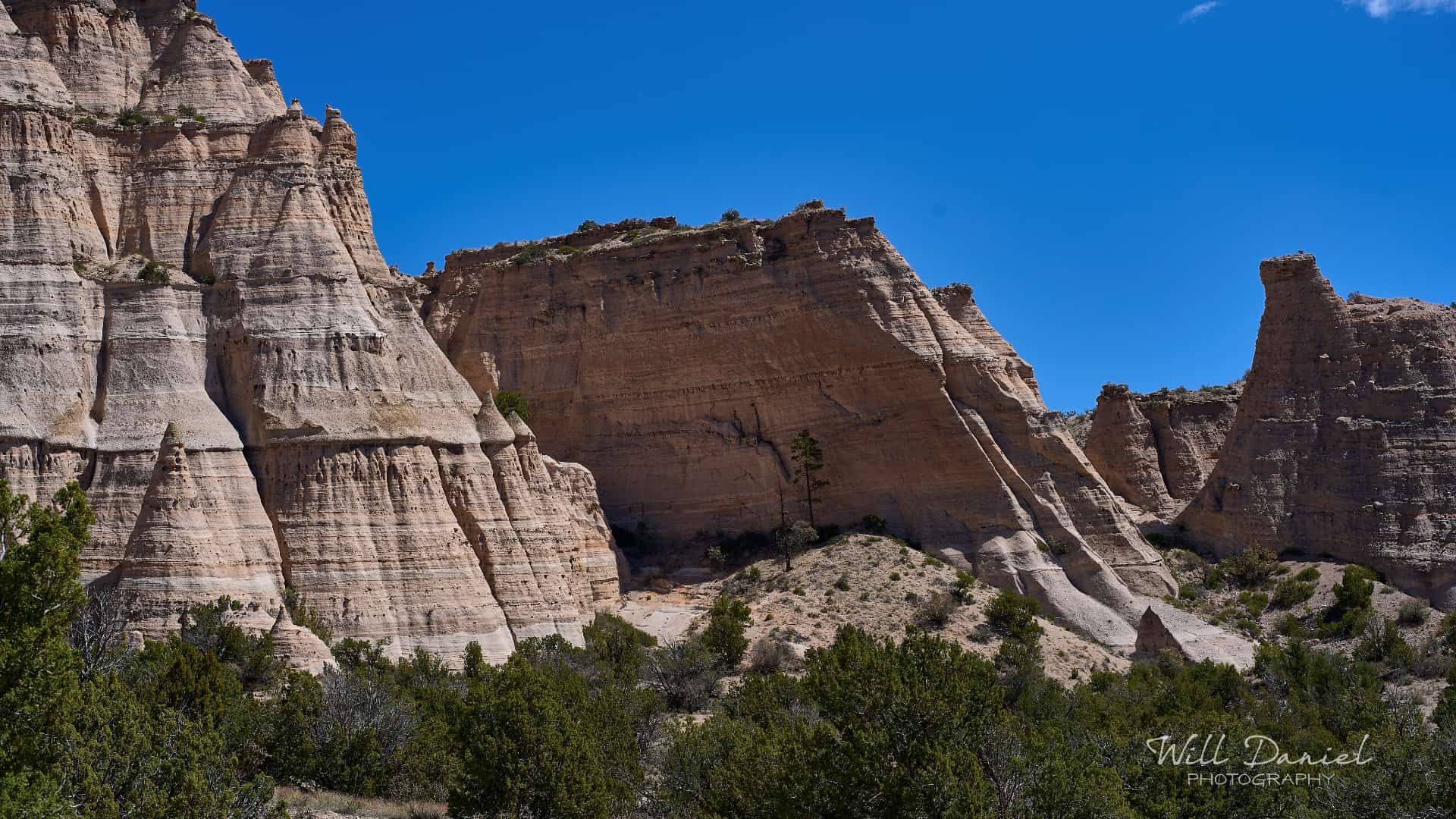 New Mexico Trail Photos