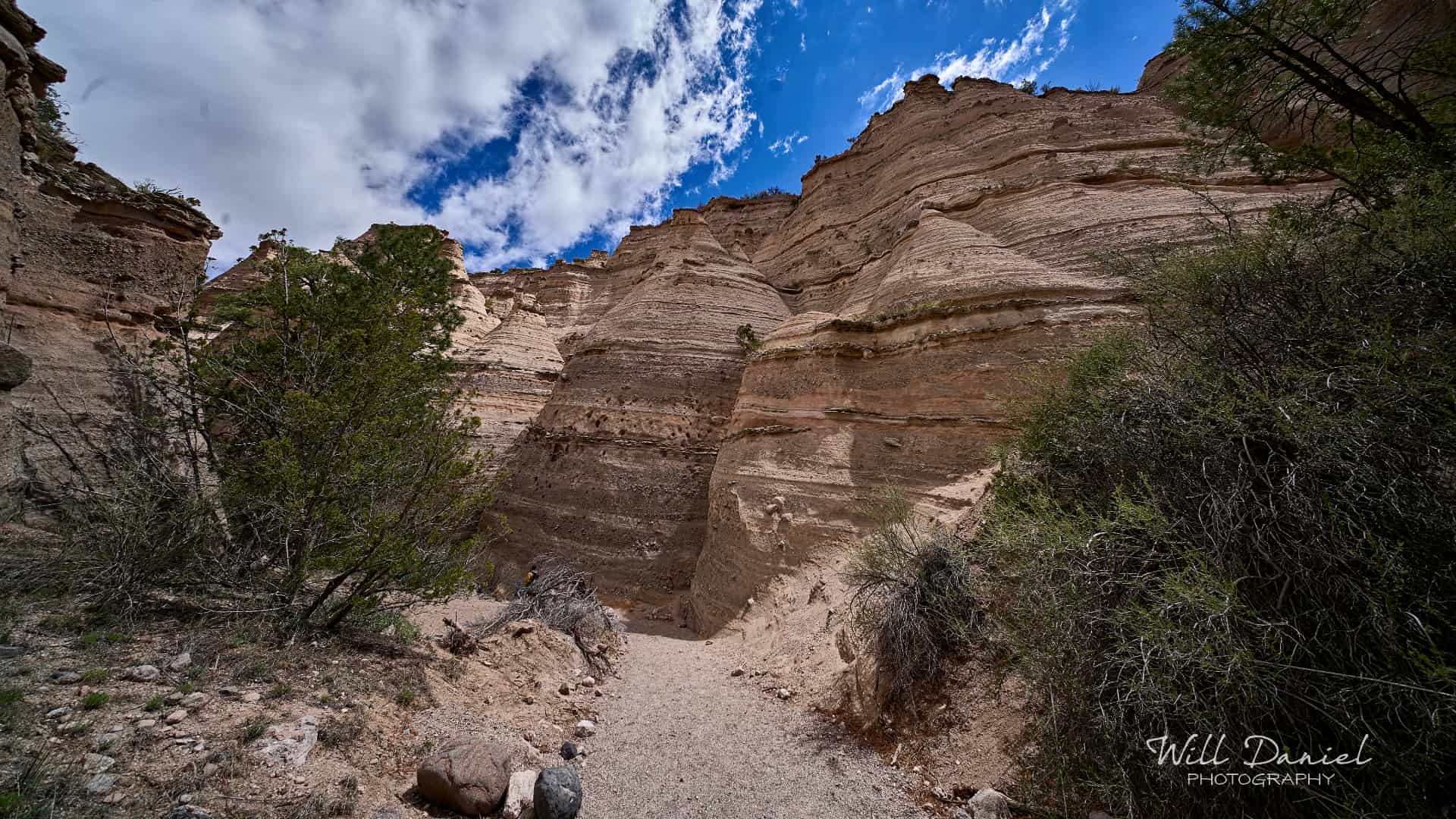 New Mexico Trail Photos