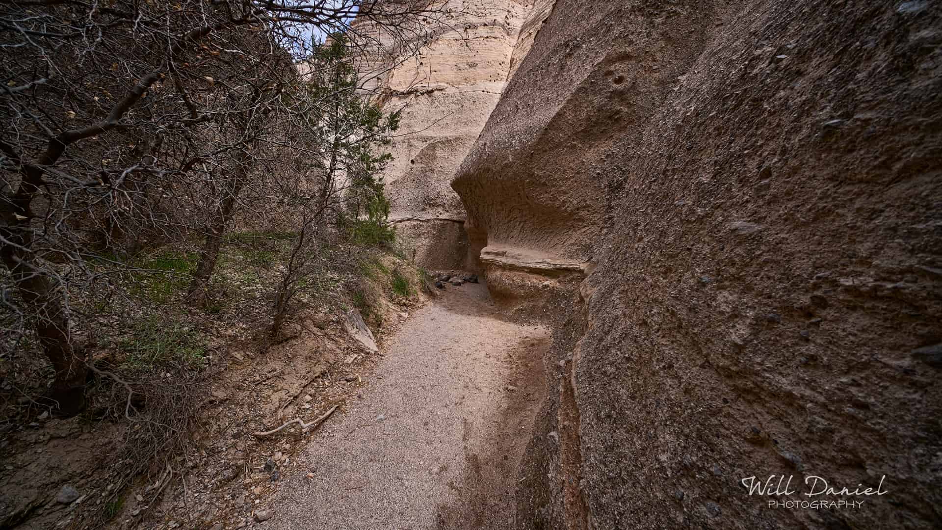 New Mexico Trail Photos