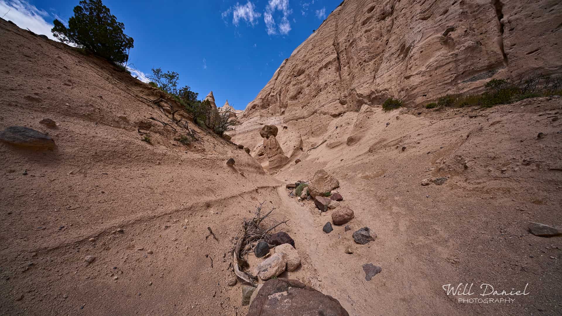 New Mexico Trail Photos