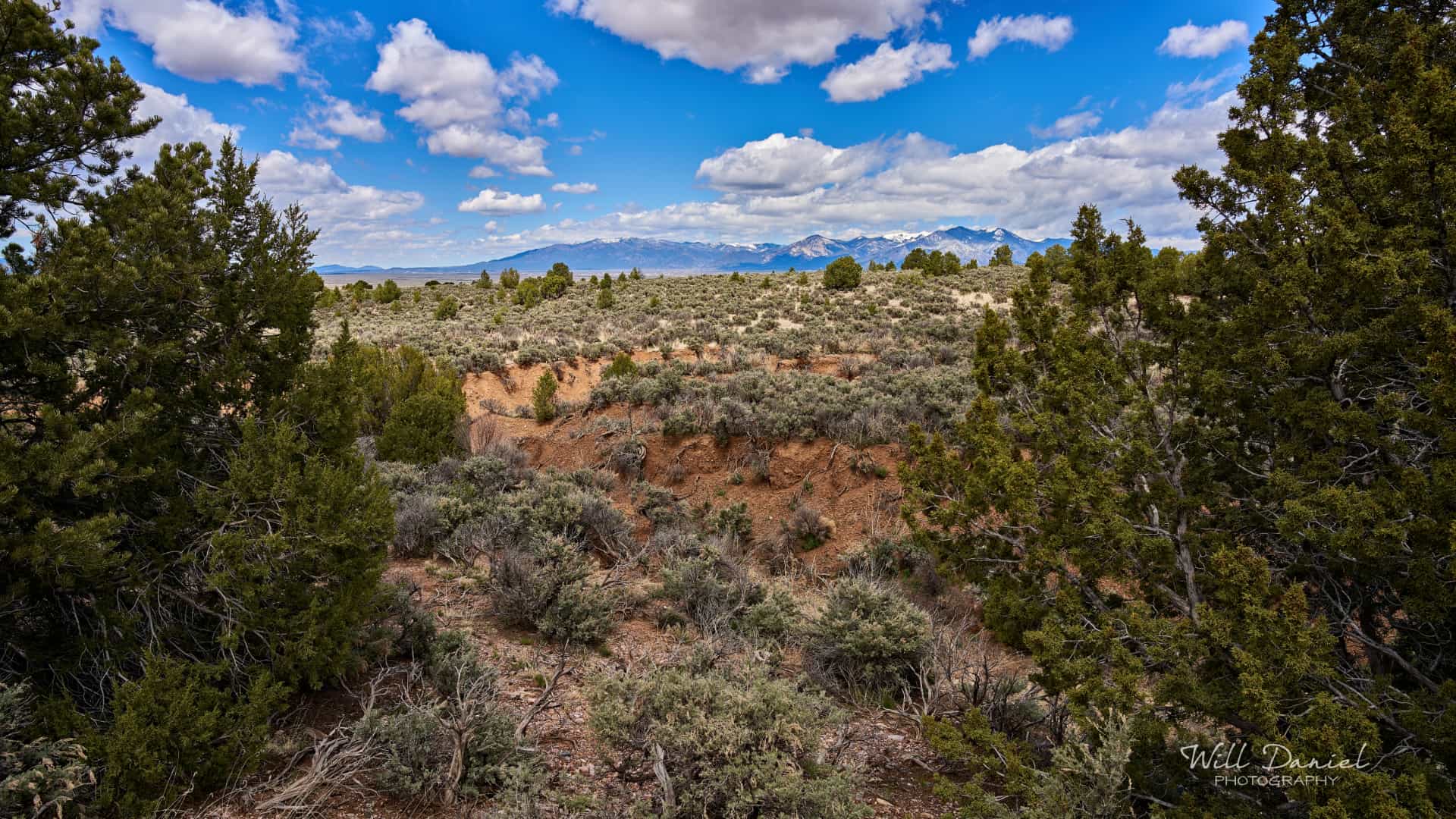 New Mexico Trail Photos