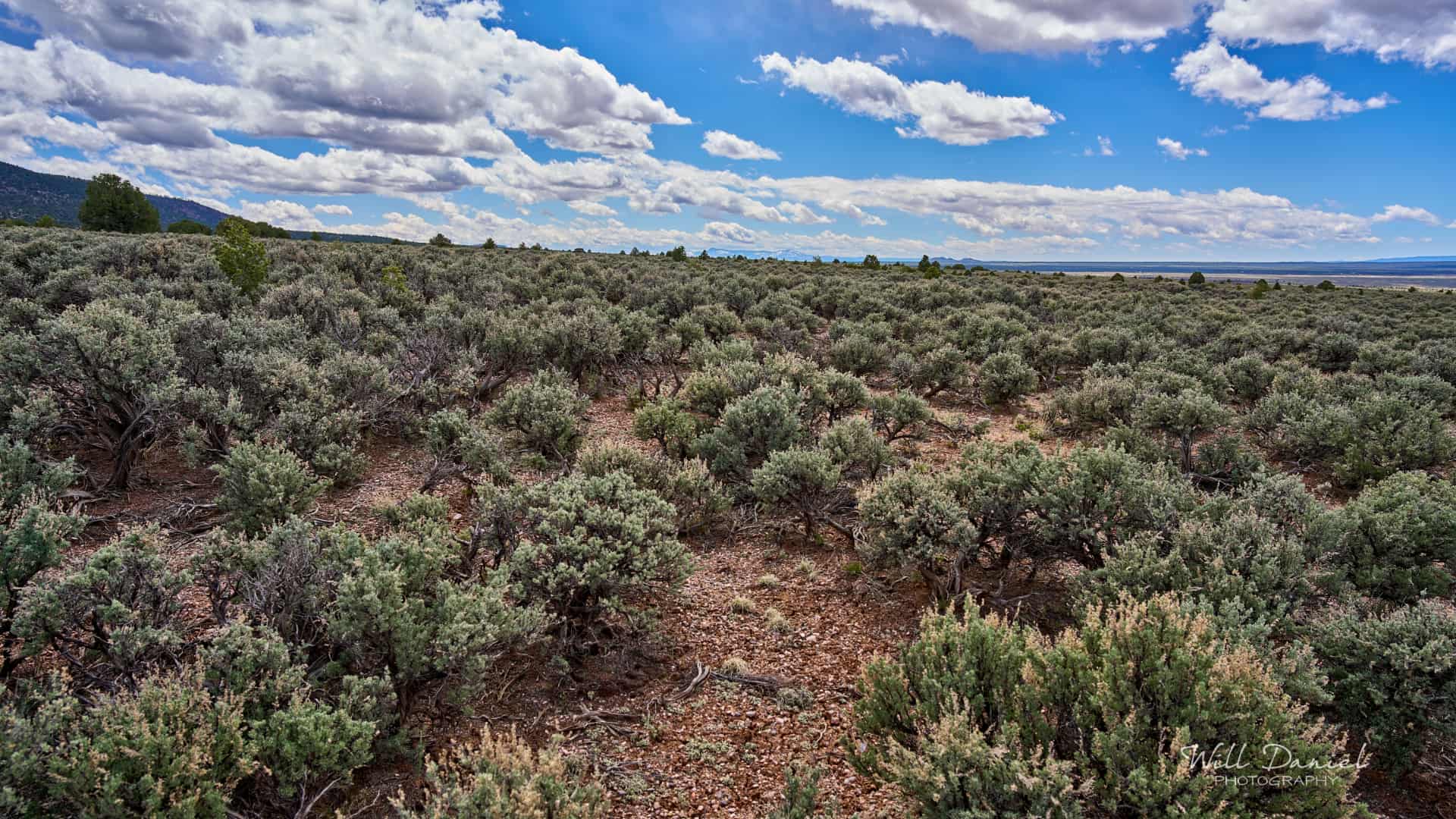 New Mexico Trail Photos